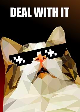 deal with it meaw