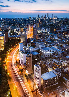 Tokyo city at dusk Japan