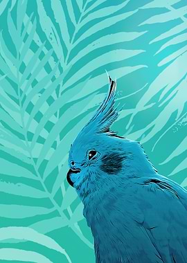 Blue Cockatoo