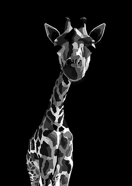 Giraffe Black and white