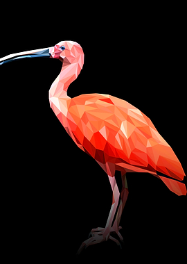 Scarlet Ibis
