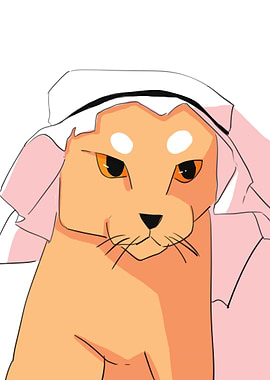 arabian cat