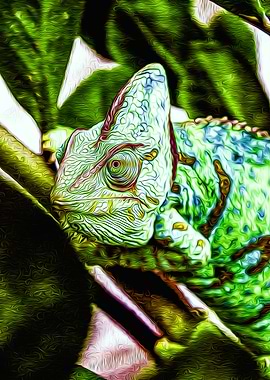 Chameleon