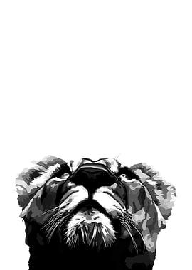 Lion Black and white