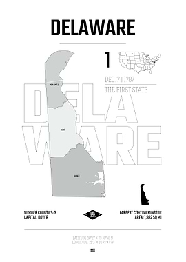 Delaware USA state map
