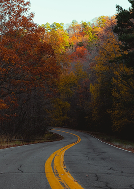 Ouachita National Forest