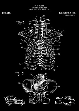 Skeleton patent