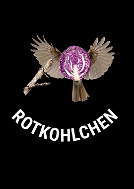 Rotkohlchen Meme Bird