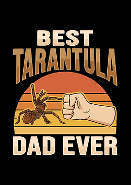 Tarantula Terrarium Design