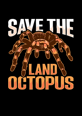 Tarantula Terrarium Design