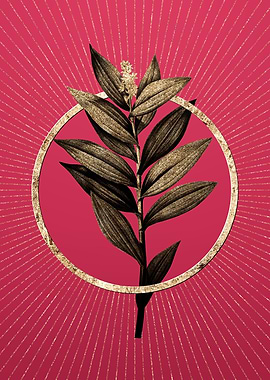 Gold Smilacina Stellata