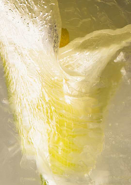 White calla in ice 1