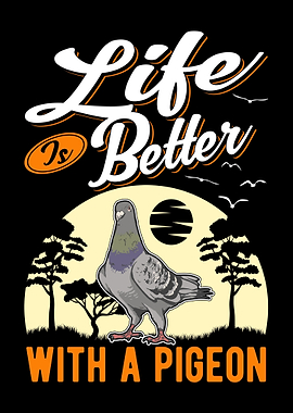 Pigeon Fancier City Pigeon