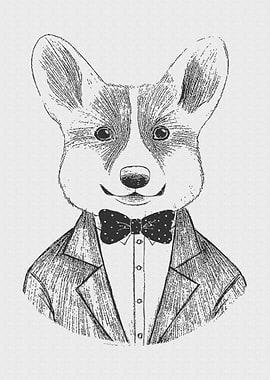 Vintage Animal Fashion