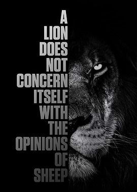 A lion does not concern