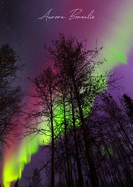 Aurora Borealis