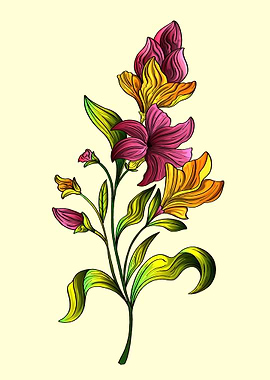 Yellow beautiful lily