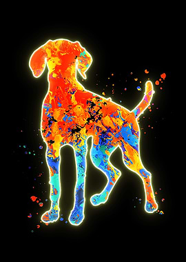 Hungarian Vizsla Dog