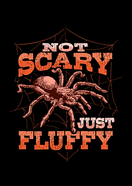 Tarantula Terrarium Design