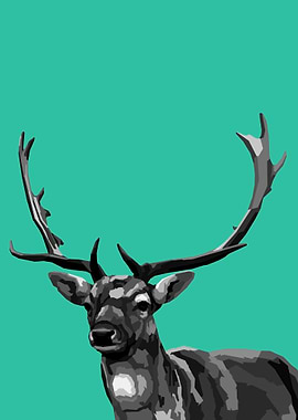 Deer Black and white