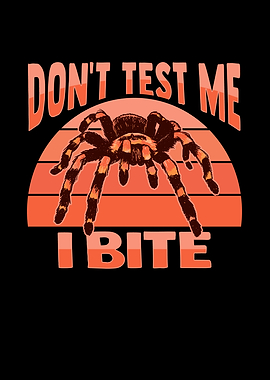 Tarantula Terrarium Design