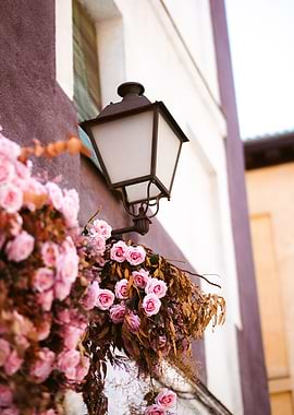 Lamp among the Roses