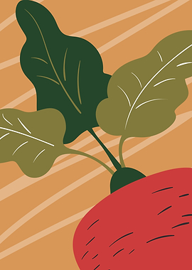 Minimalist Root Vegetable