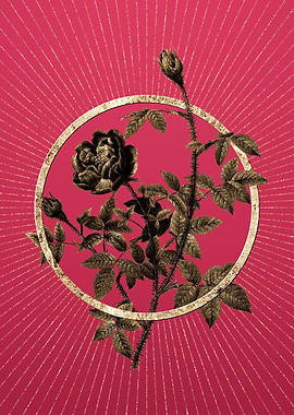 Moss Rose on Viva Magenta