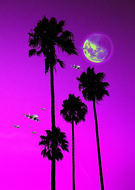 Where Are They Going