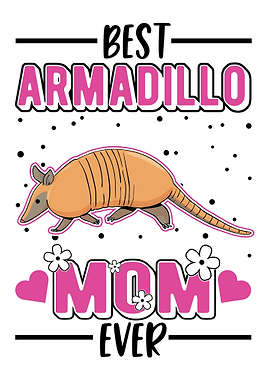 Armadillo Gift