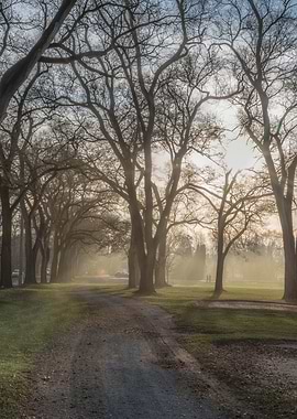Afternoon Fog Rolls In