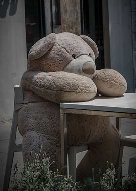 My Friend a Giant Teddy