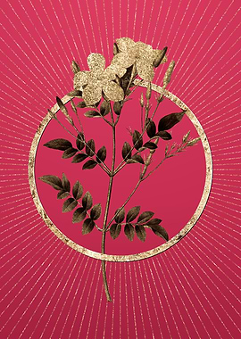 Spanish Jasmine on Magenta