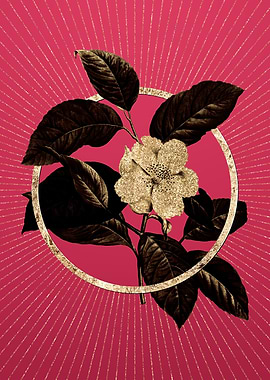 Stewartia Tree on Magenta