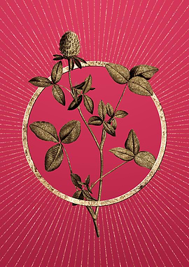 Viva Magenta Pink Clover