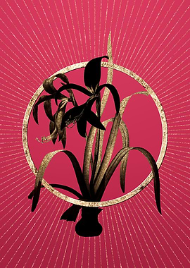 Sprekelia on Viva Magenta