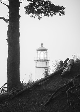 Oregon Coast Lighthouse