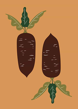 Radish root vegetable