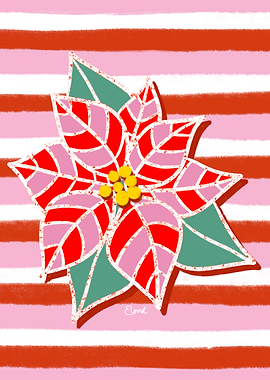 Festive Christmas flower