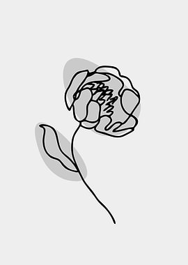 handrawn flower lineart