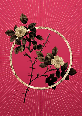 Gold Spiny Rose of Dematra