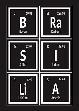 Elements of Brasilia