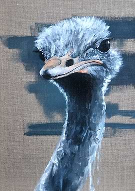 Ostrich