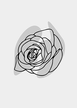 handrawn rose line art
