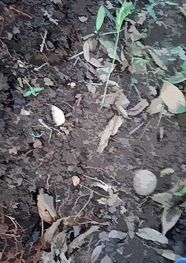 Muddy Tile Patterns New