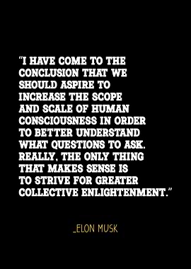 Elon Musk quote