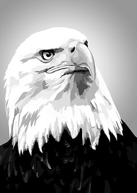 Eagle Black and white