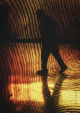 Mystery man in timber