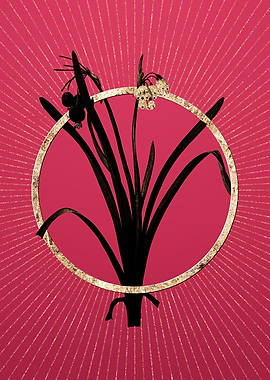 Gold Summer Snowflake