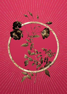 Red Rose on Viva Magenta